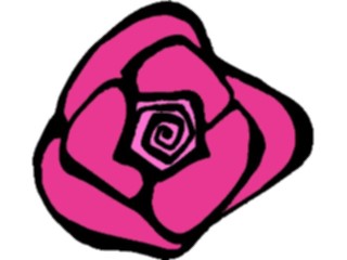 Sticker Custom Preview Image #104750 Plants Flowers Flowers Rose Bloom