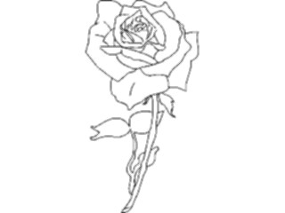 Sticker Custom Preview Image #104771 Plants Flowers Flowers Rose Outline