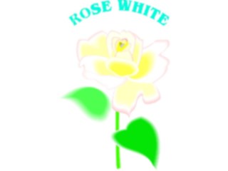 Sticker Custom Preview Image #104774 Plants Flowers Flowers Rose White