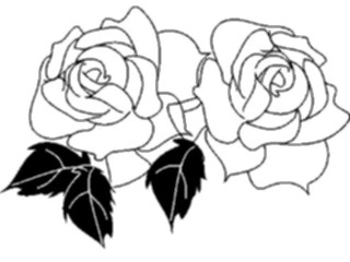 Sticker Custom Preview Image #104776 Plants Flowers Flowers Roses01