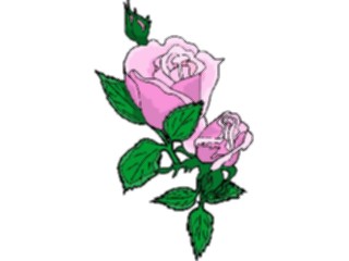 Sticker Custom Preview Image #104789 Plants Flowers Flowers Roses14