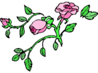 Sticker Custom Preview Image #104794 Plants Flowers Flowers Roses19