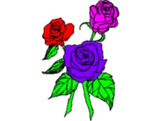 Sticker Custom Preview Image #104795 Plants Flowers Flowers Roses20