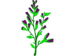 Sticker Custom Preview Image #104804 Plants Flowers Flowers Sagebrush