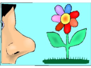 Sticker Custom Preview Image #104806 Plants Flowers Flowers Smelling Flower1