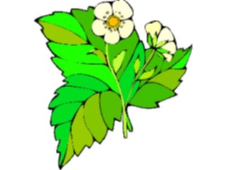 Sticker Custom Preview Image #104825 Plants Flowers Flowers Strawberry