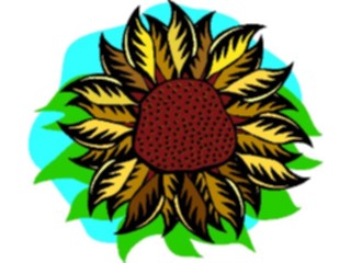 Sticker Custom Preview Image #104829 Plants Flowers Flowers Sunflower3