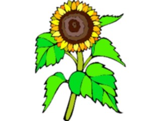 Sticker Custom Preview Image #104831 Plants Flowers Flowers Sunflower5