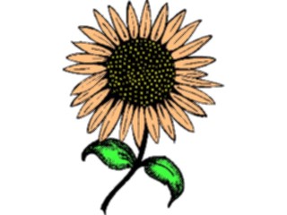 Sticker Custom Preview Image #104835 Plants Flowers Flowers Sunflower9