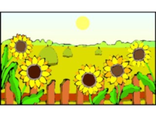 Sticker Custom Preview Image #104838 Plants Flowers Flowers Sunflowers