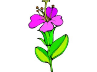 Sticker Custom Preview Image #104839 Plants Flowers Flowers Thyme