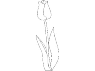 Sticker Custom Preview Image #104841 Plants Flowers Flowers Tulip02