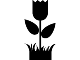 Sticker Custom Preview Image #104843 Plants Flowers Flowers Tulip04