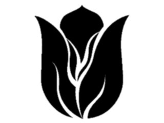 Sticker Custom Preview Image #104844 Plants Flowers Flowers Tulip05