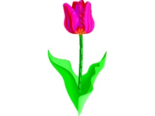 Sticker Custom Preview Image #104846 Plants Flowers Flowers Tulip07