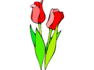 Sticker Custom Preview Image #104849 Plants Flowers Flowers Tulip10