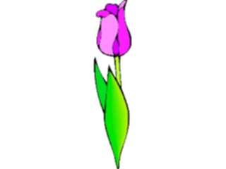 Sticker Custom Preview Image #104850 Plants Flowers Flowers Tulip11