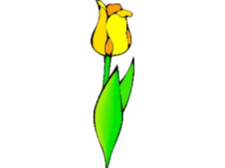 Sticker Custom Preview Image #104851 Plants Flowers Flowers Tulip12