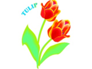 Sticker Custom Preview Image #104852 Plants Flowers Flowers Tulip13