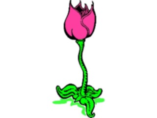 Sticker Custom Preview Image #104854 Plants Flowers Flowers Tulip15