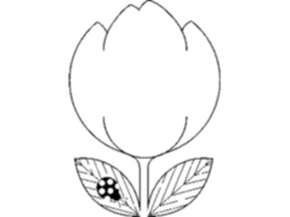 Sticker Custom Preview Image #104857 Plants Flowers Flowers Tulip Frame1