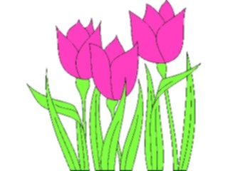 Sticker Custom Preview Image #104865 Plants Flowers Flowers Tulips06
