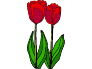 Sticker Custom Preview Image #104866 Plants Flowers Flowers Tulips07