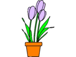 Sticker Custom Preview Image #104869 Plants Flowers Flowers Tulips10