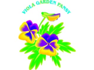 Sticker Custom Preview Image #104874 Plants Flowers Flowers Viola Garden Pansy