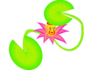 Sticker Custom Preview Image #104884 Plants Flowers Flowers Water Lily3