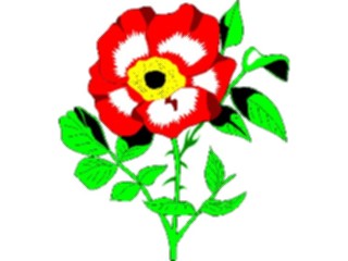 Sticker Custom Preview Image #104892 Plants Flowers Flowers Wild Rose1