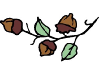 Sticker Custom Preview Image #104911 Plants Flowers General Acorns3