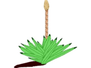 Sticker Custom Preview Image #104915 Plants Flowers General Agave1