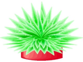 Sticker Custom Preview Image #104916 Plants Flowers General Agave2