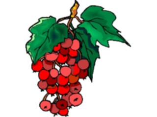 Sticker Custom Preview Image #104929 Plants Flowers General Berries05