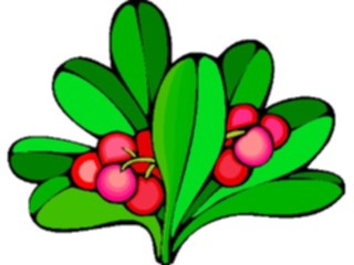 Sticker Custom Preview Image #104935 Plants Flowers General Berries11