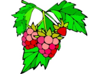 Sticker Custom Preview Image #104936 Plants Flowers General Berries12