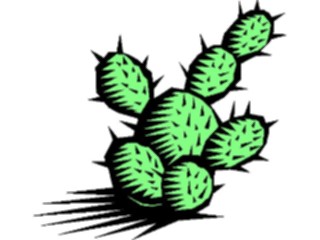 Sticker Custom Preview Image #104950 Plants Flowers General Cactus03