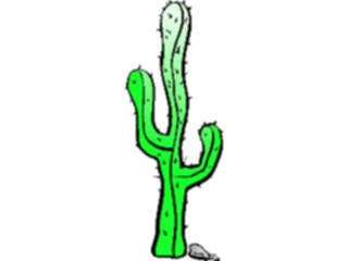 Sticker Custom Preview Image #104970 Plants Flowers General Cactus23