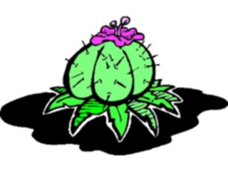 Sticker Custom Preview Image #104985 Plants Flowers General Cactus38