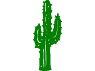 Sticker Custom Preview Image #105013 Plants Flowers General Cactus66