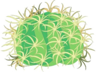 Sticker Custom Preview Image #105022 Plants Flowers General Cactus Barrel3