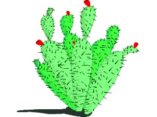 Sticker Custom Preview Image #105024 Plants Flowers General Cactus Cowtongue