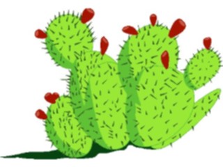 Sticker Custom Preview Image #105025 Plants Flowers General Cactus Prickly Pear