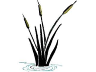 Sticker Custom Preview Image #105043 Plants Flowers General Cattails