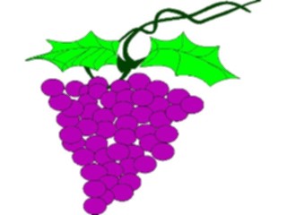 Sticker Custom Preview Image #105055 Plants Flowers General Grapes