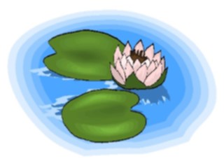 Sticker Custom Preview Image #105060 Plants Flowers General Lily Pads2