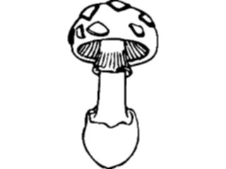 Sticker Custom Preview Image #105068 Plants Flowers General Mushroom08