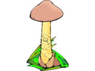 Sticker Custom Preview Image #105075 Plants Flowers General Mushroom15