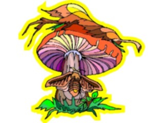 Sticker Custom Preview Image #105077 Plants Flowers General Mushroom17